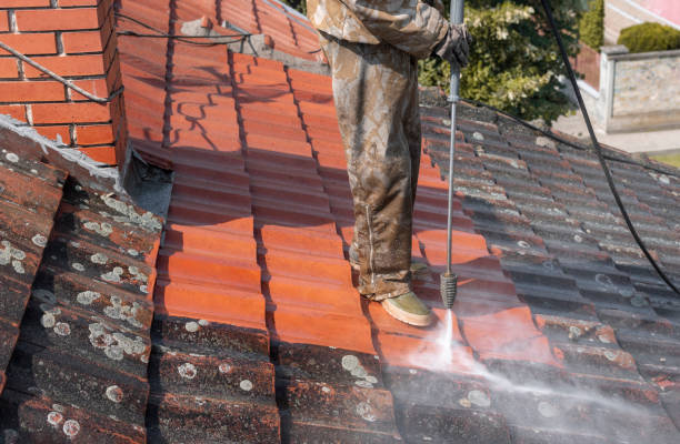 Méthodes de nettoyage des toits pour les taches inesthétiques. post thumbnail image