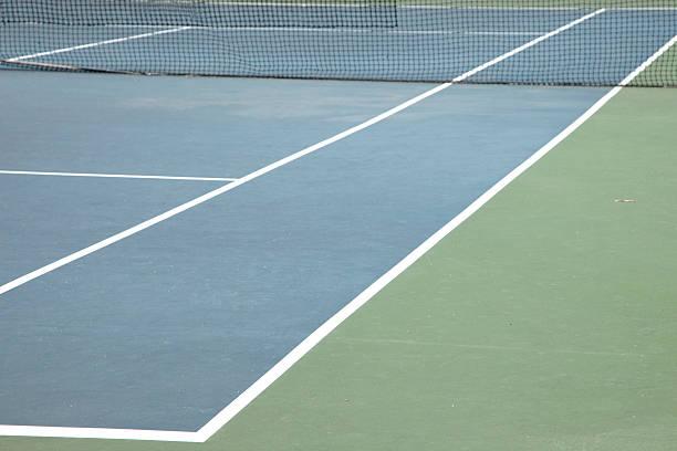 Prévention des Problèmes de Mousses et de Lichens sur un Court de Tennis en Béton Poreux à Dijon post thumbnail image